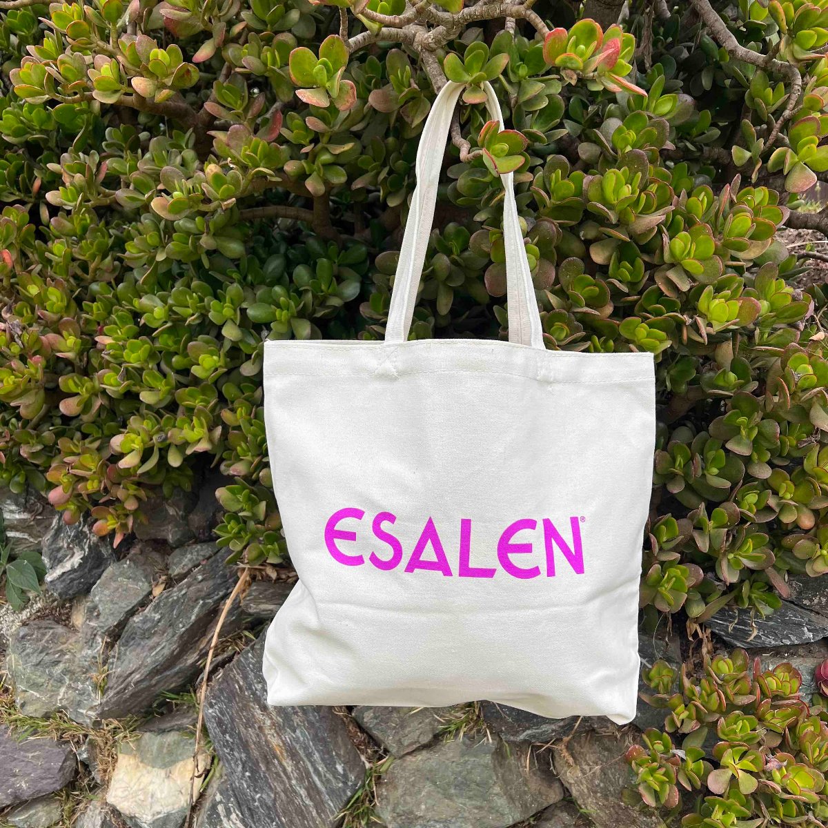 Esalen Accessories - Esalen Metamorphosis Canvas Tote Bag logo