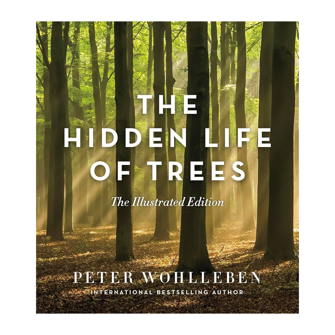 Esalen Books - The Hidden Life of Trees - Illustrated Edition by Peter Wohlleben