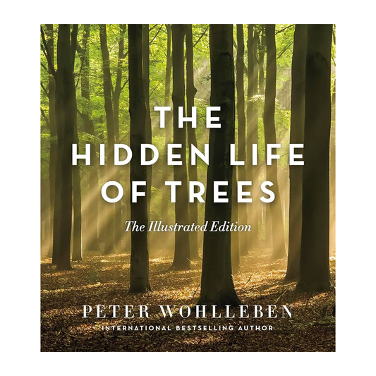 Esalen Books - The Hidden Life of Trees - Illustrated Edition by Peter Wohlleben