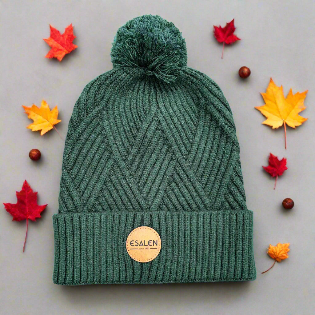 Pom Pom Beanie in Dark Green