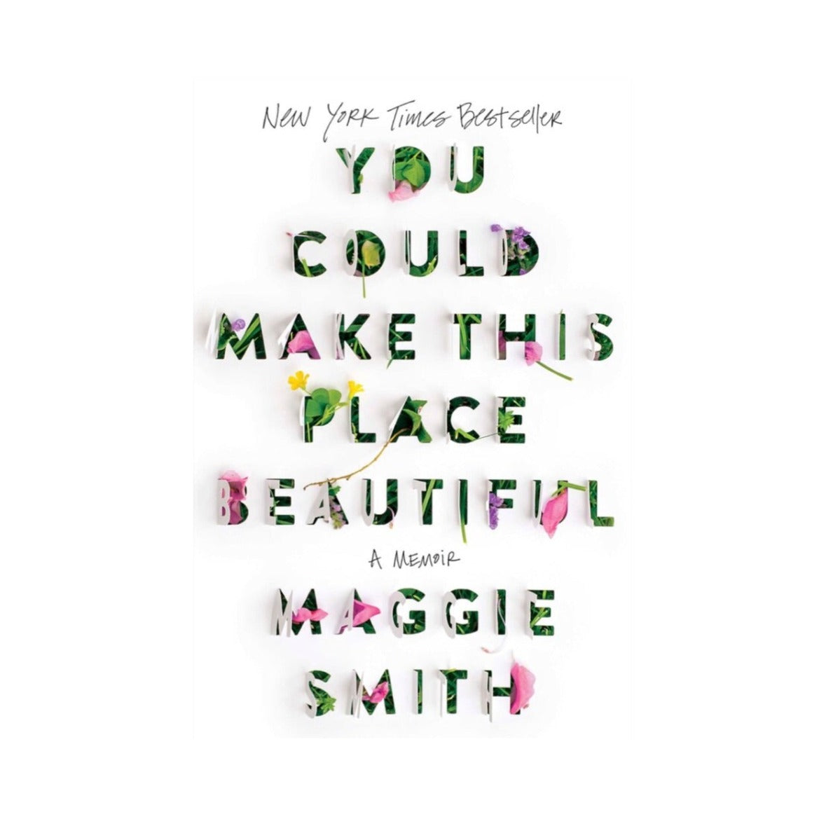 You Could Make This Place Beautiful by Maggie Smith