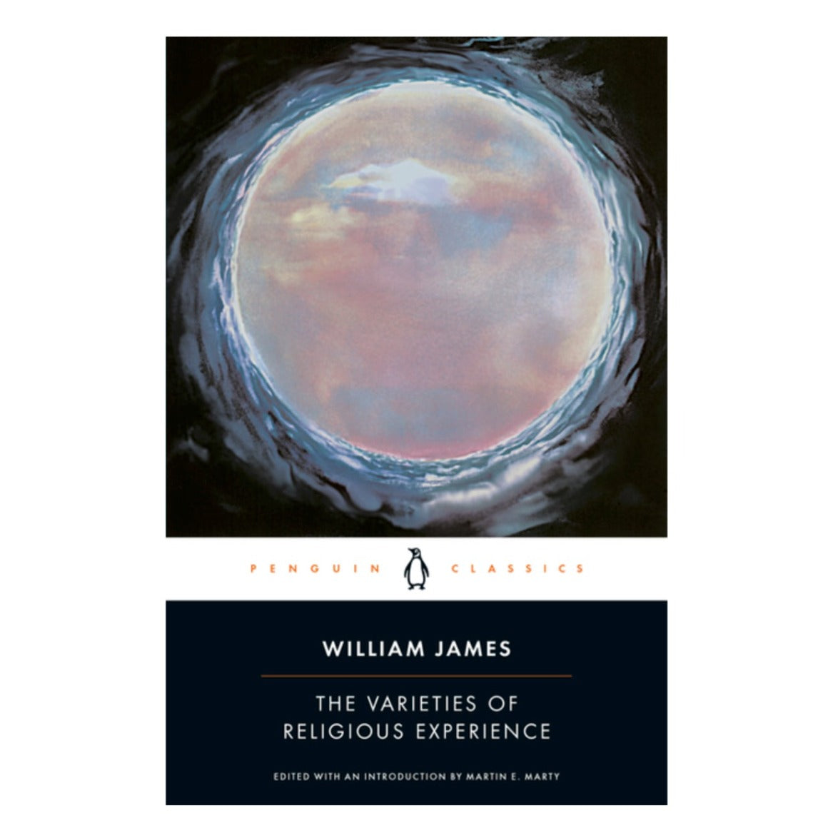 The Varieties of Religious Experience by William James