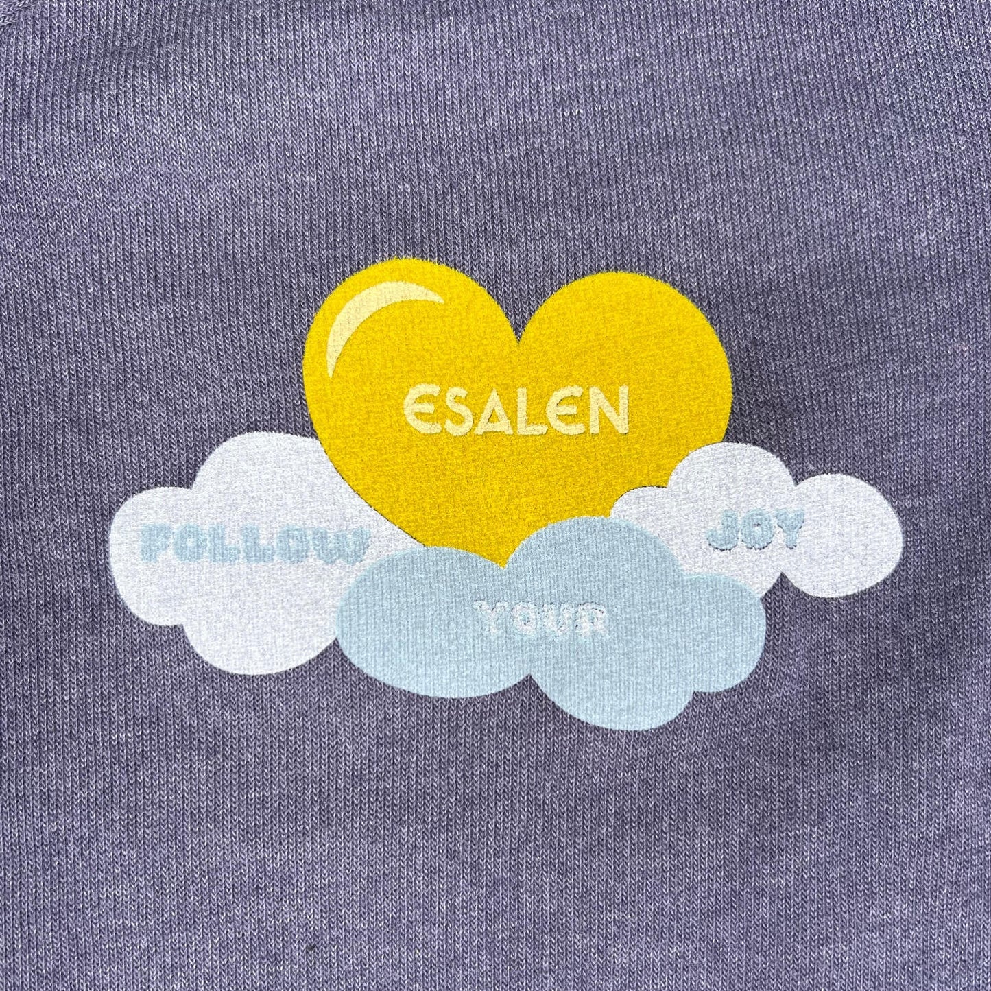 Esalen Toddler Follow Your Joy Raglan Sweatshirt in Heather Navy