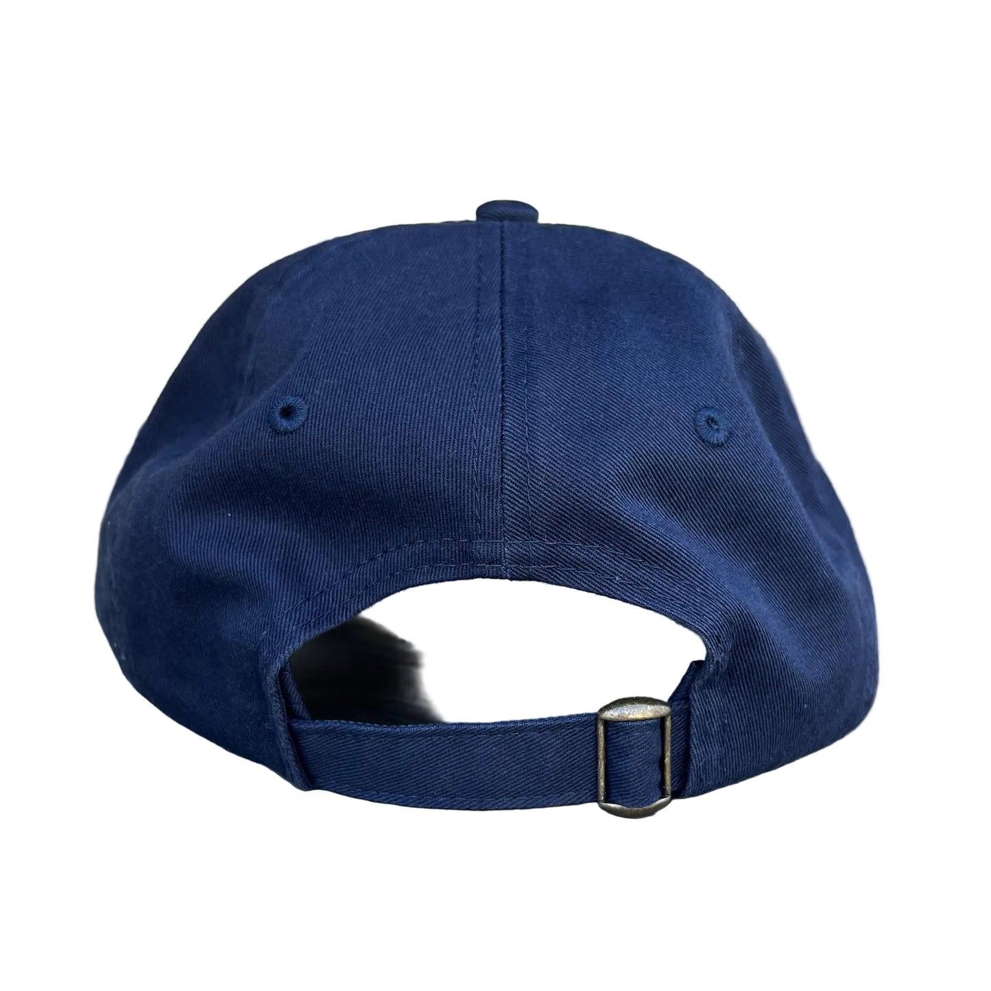 Esalen Coordinates Logo Twill Hat in Navy