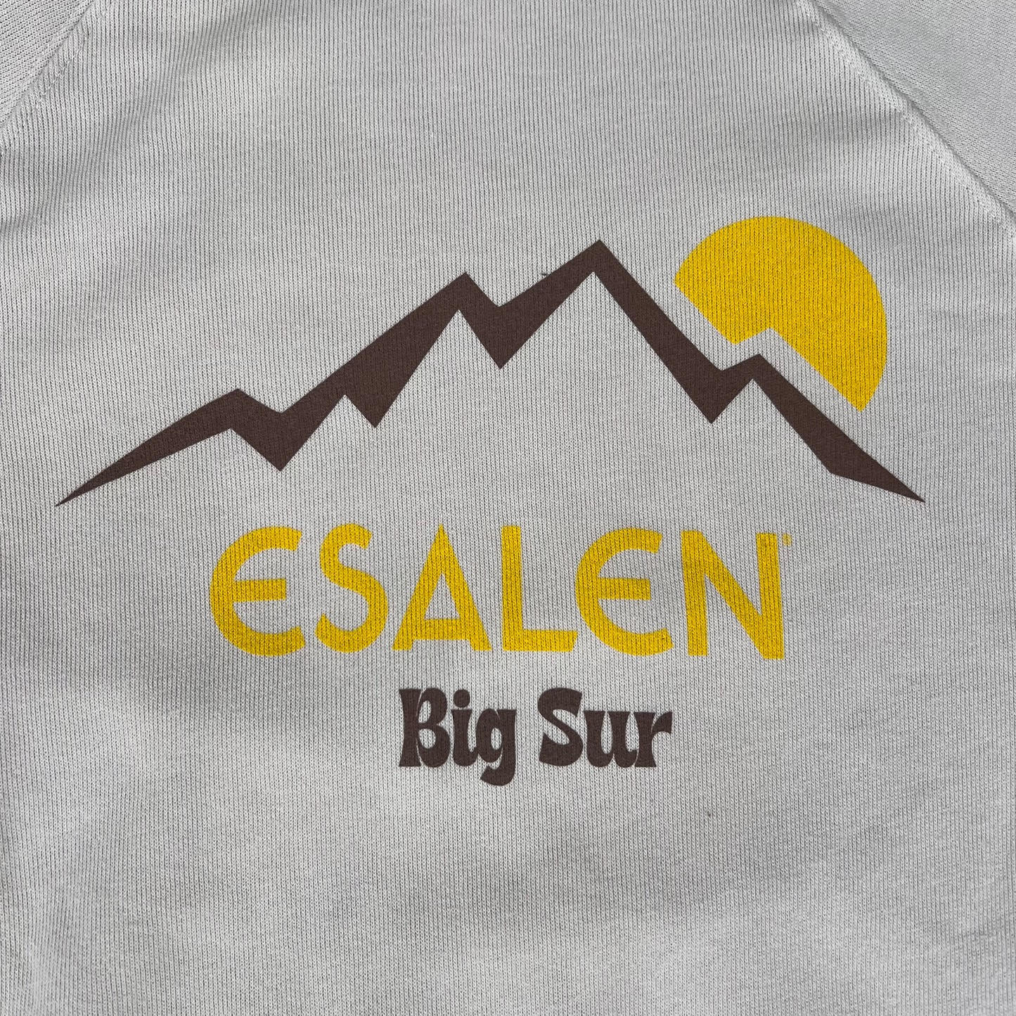 Esalen Big Sur Mt Sun Raglan Sweatshirt in Heather Dust