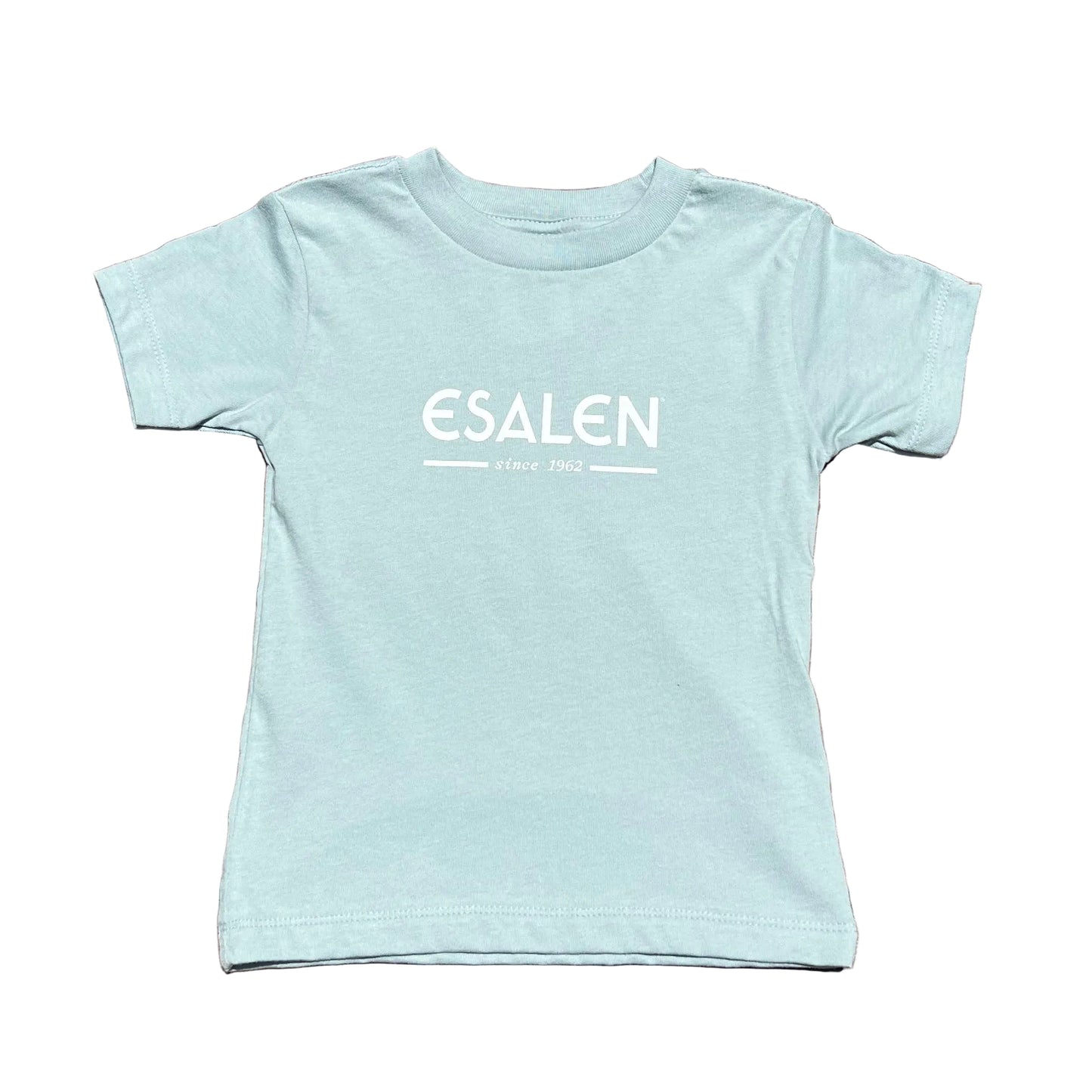 Esalen Classic Logo Toddler T-Shirt in Dusty Blue