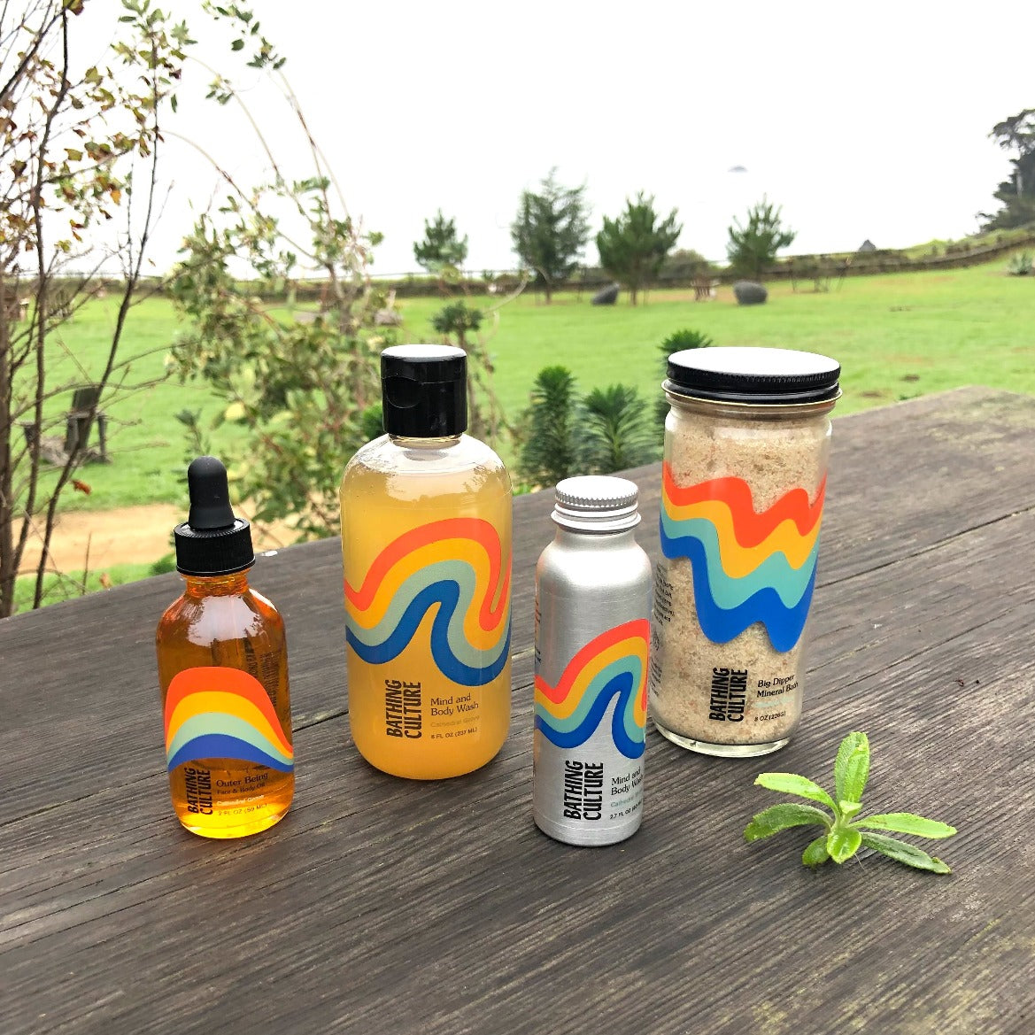 Mind & Body Wash by Bathing Culture