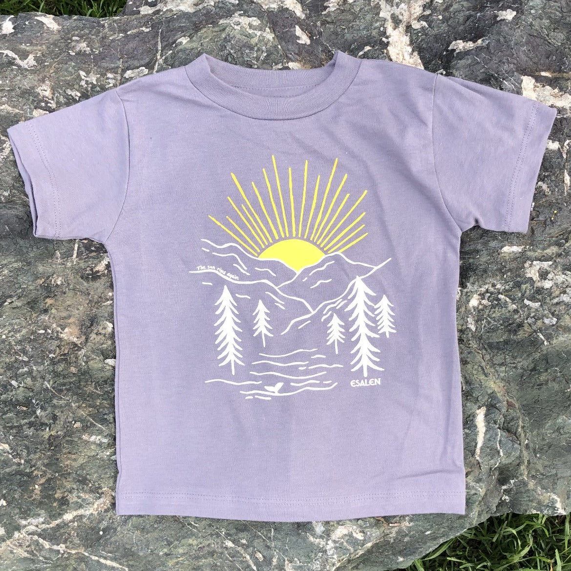 Esalen Sacred Land Grey Toddler Tee