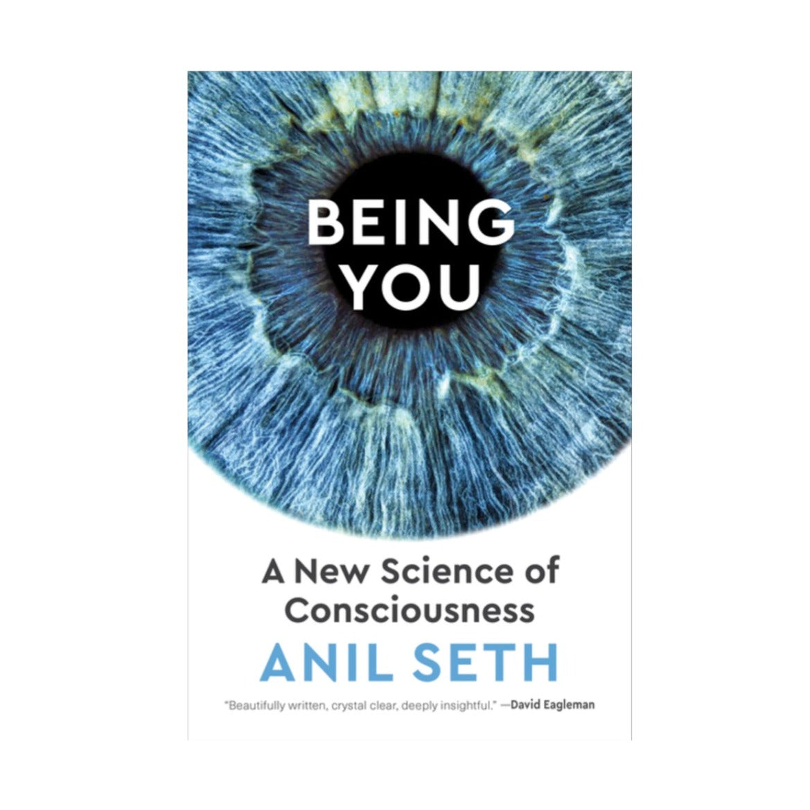 Being You by Anil Seth
