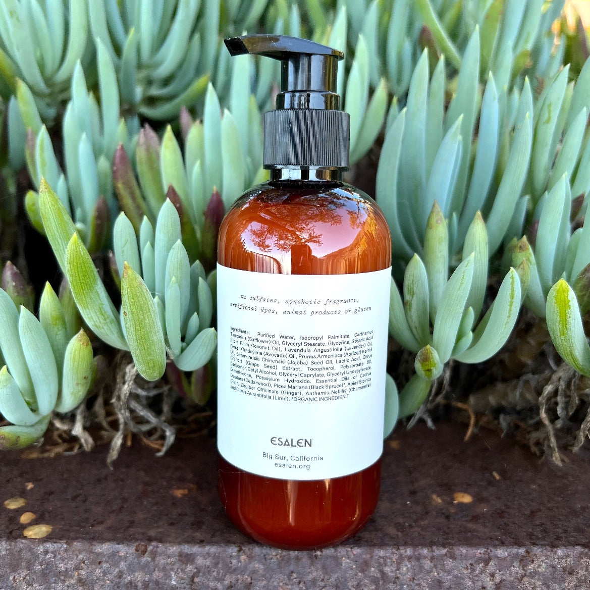 Big Sur Woods Hand & Body Lotion by Esalen