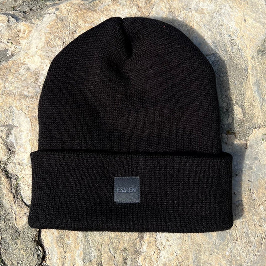 Esalen Beanie Hat in Black