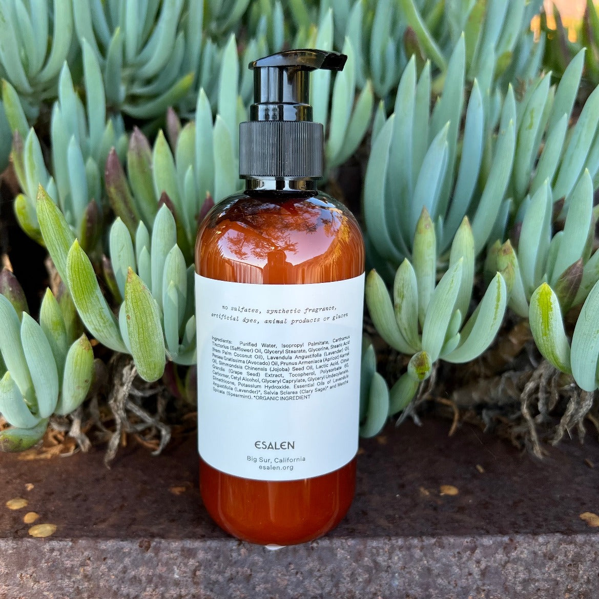 Esalen Bath & Body Big Sur Meadow Hand & Body Lotion by Esalen back