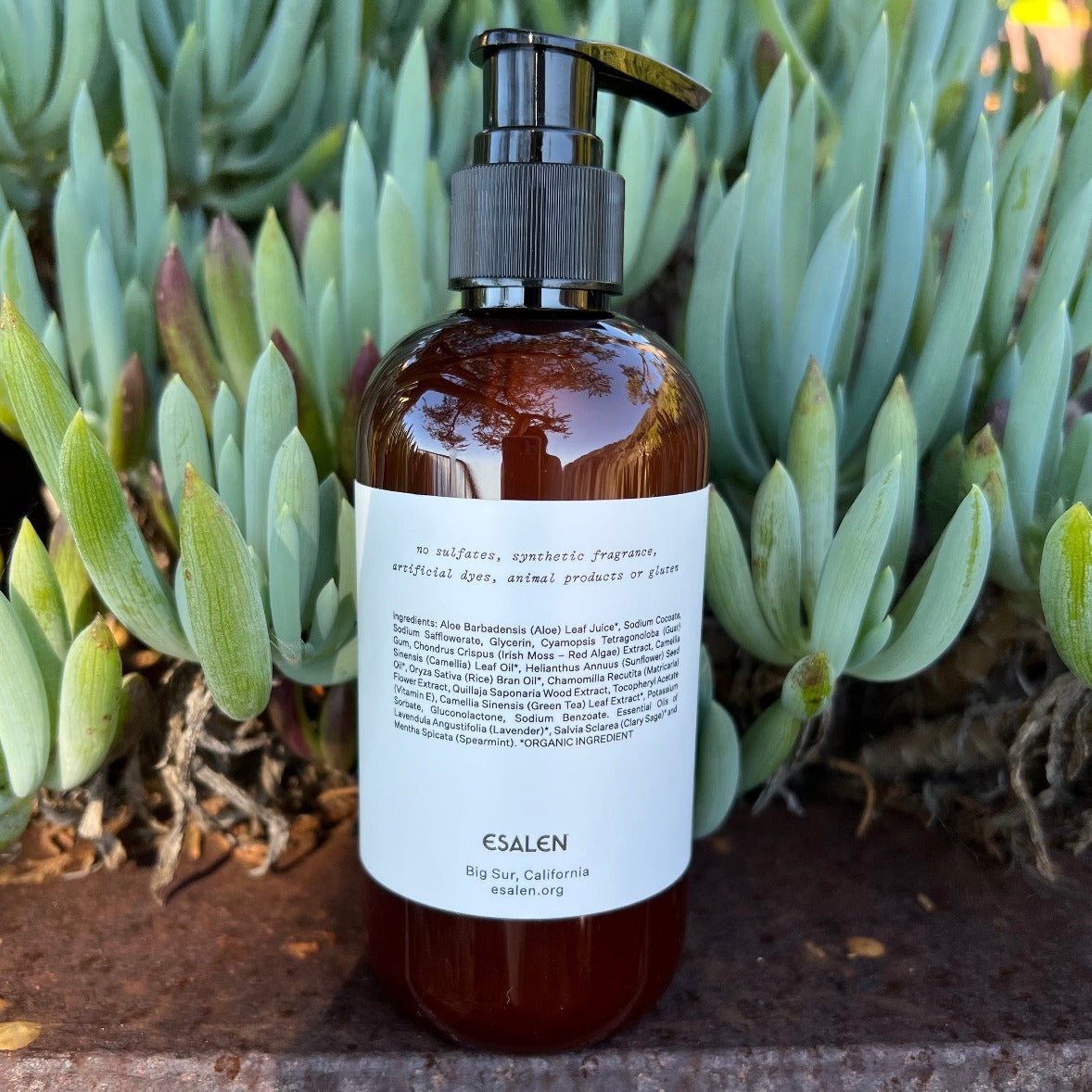 Esalen Bath & Body Big Sur Meadow Hand & Body Wash by Esalen back