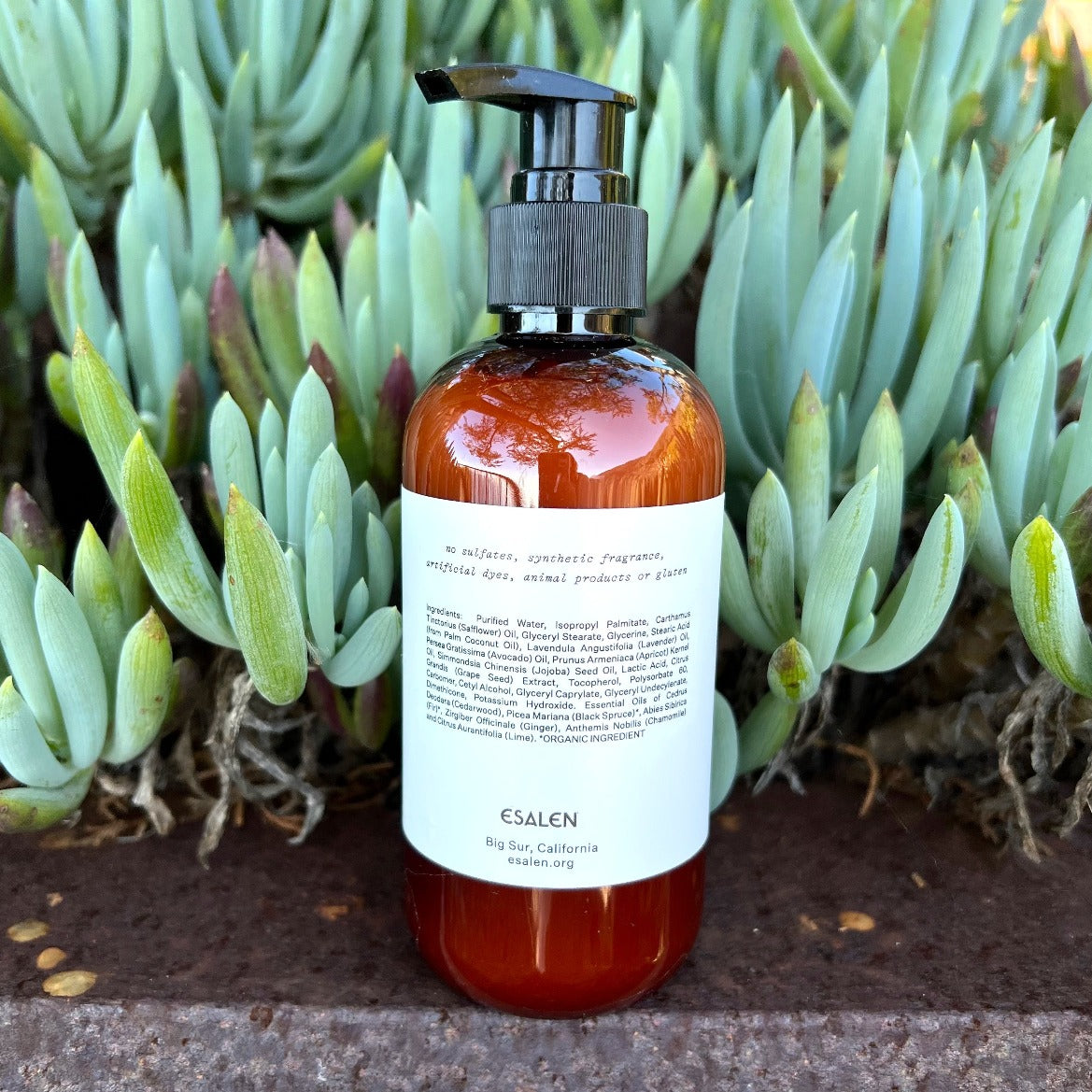 Esalen Bath & Body Big Sur Woods Hand & Body Lotion by Esalen back