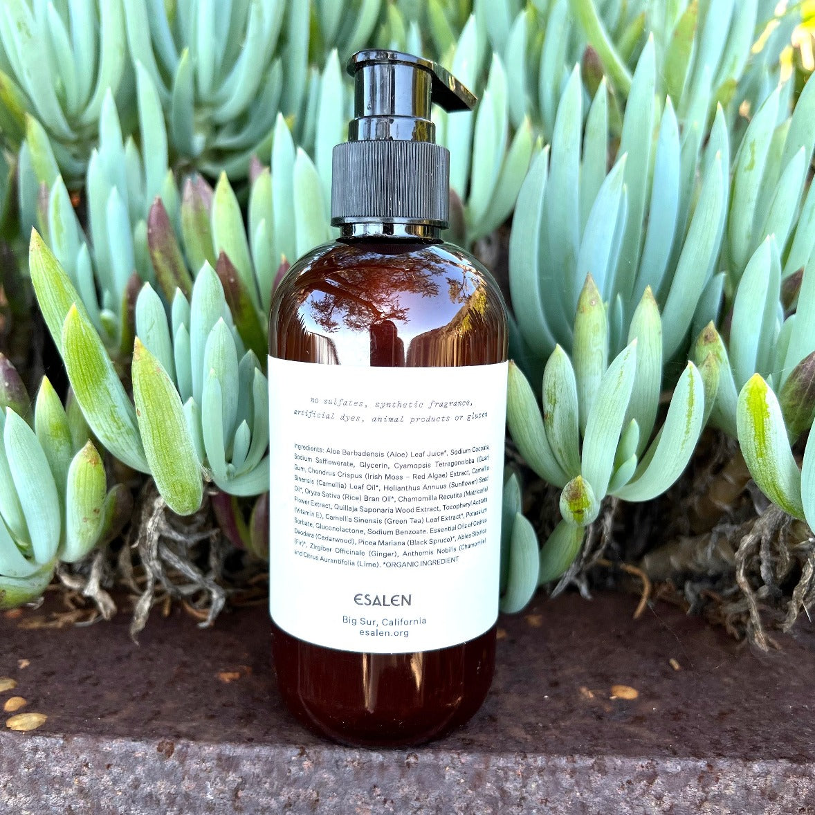 Esalen Bath & Body Big Sur Woods Hand & Body Wash by Esalen back