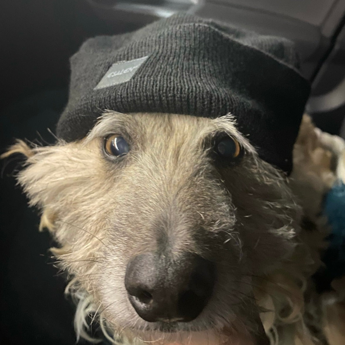 Esalen Beanie Hat in Black