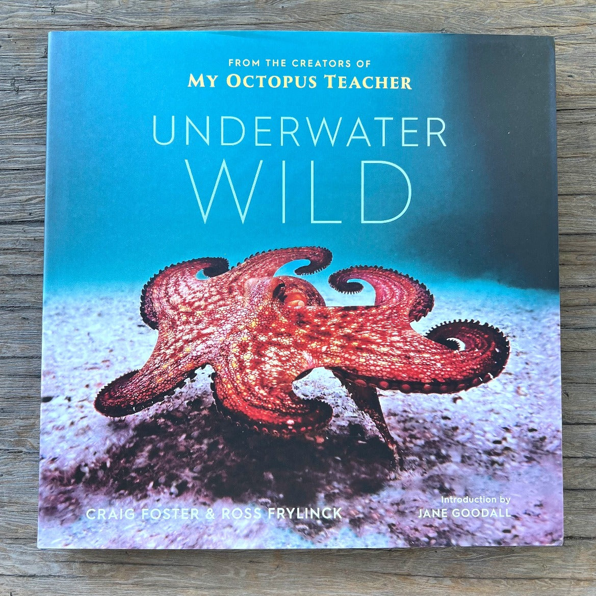 Underwater Wild by Craig Foster
