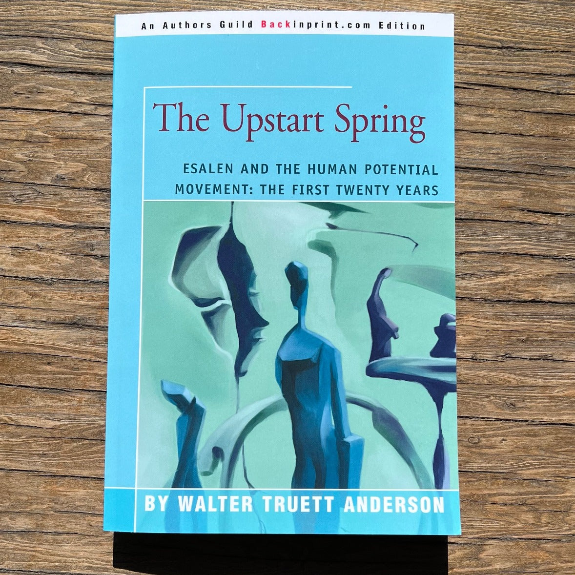 The Upstart Spring by Walter Truett Anderson
