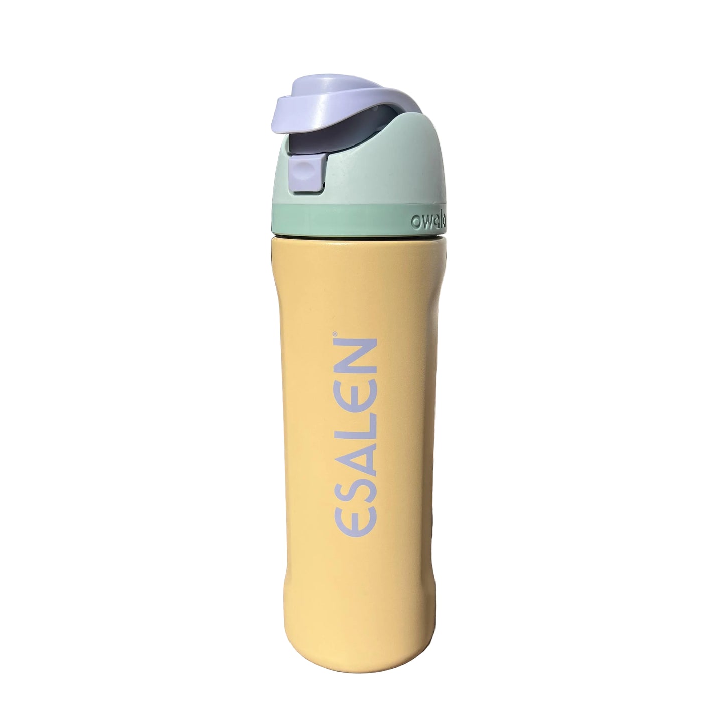 Esalen Classic Logo Owala FreeSip Bottle in Beachfront