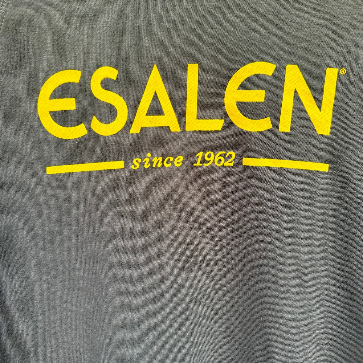1962 Esalen Logo Sweatshirt in Dark Grey - Classic Collection