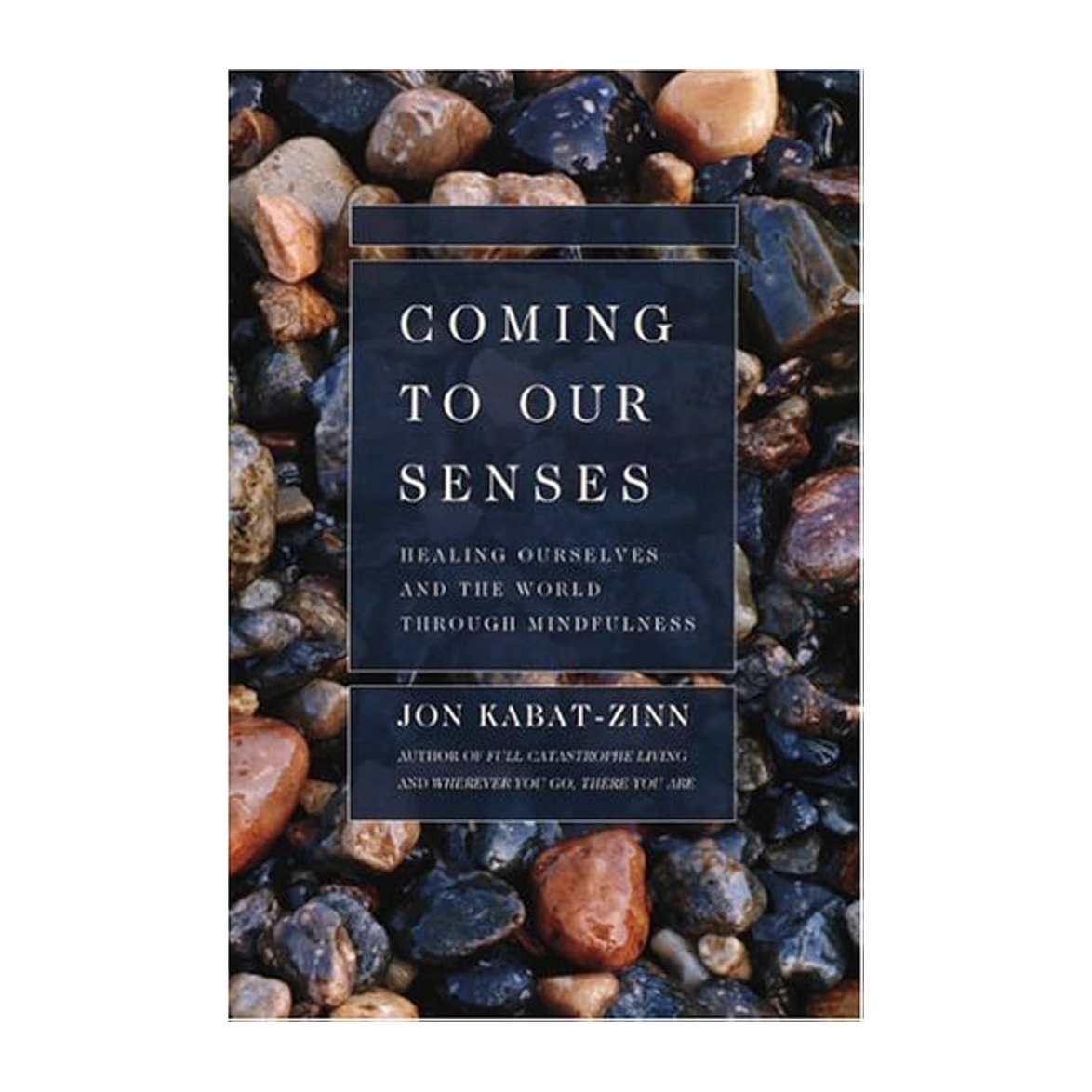 Ellen Books - Coming to our Senses by Jon Kabitt-Zinn
