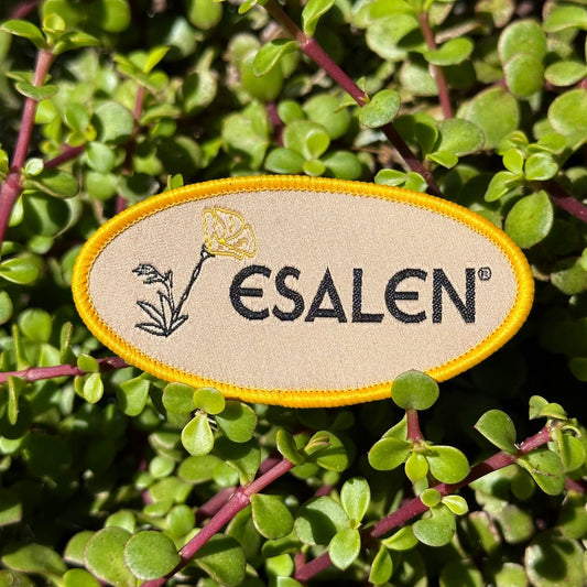 Esalen Embroidered California Poppy Patch