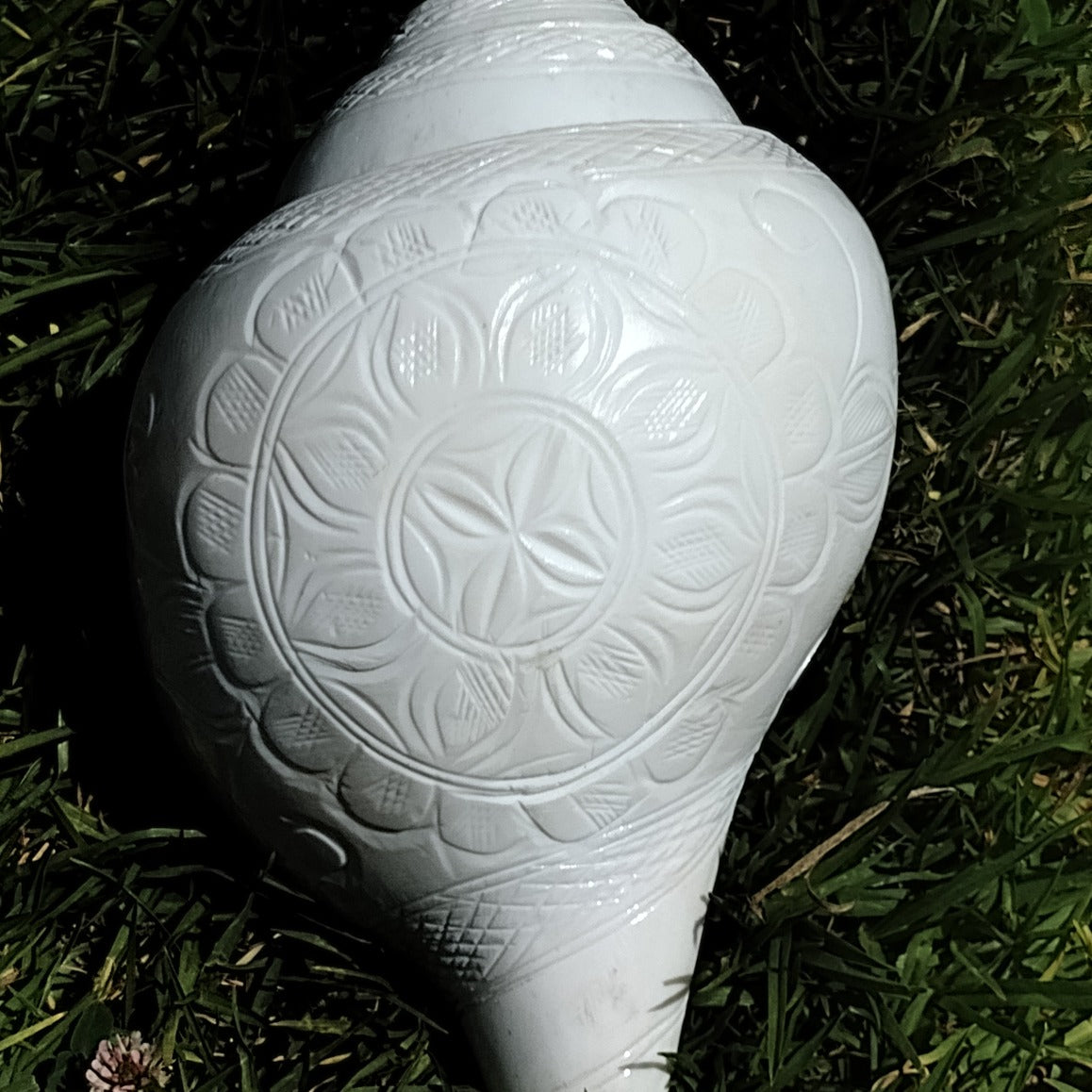 Sacred Conch Shell