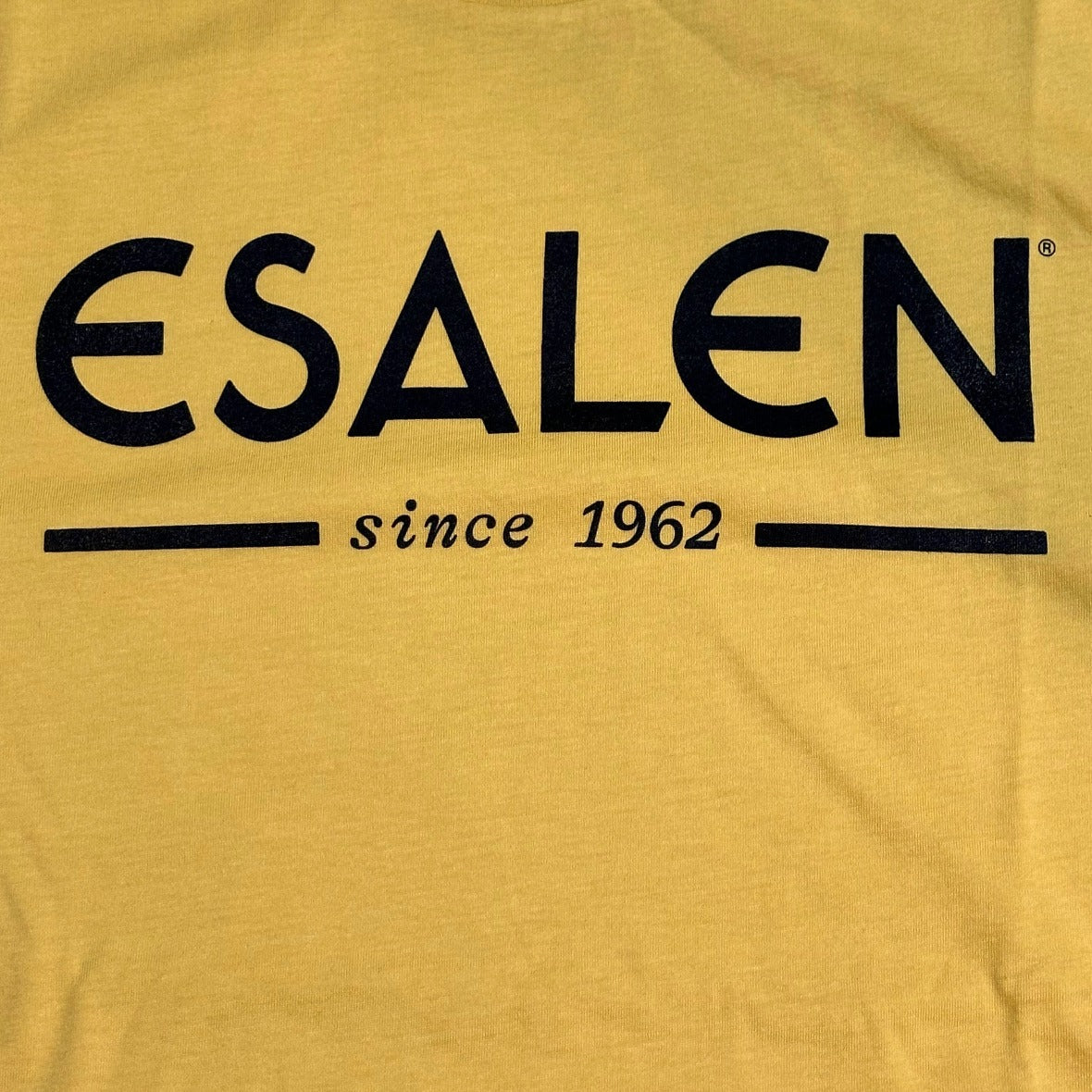 Esalen Since 1962 Organic T-Shirt in Pale Yellow