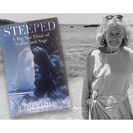 Steeped: A Big Sur Elixir of Sulfur and Sage by Brita Ostrom