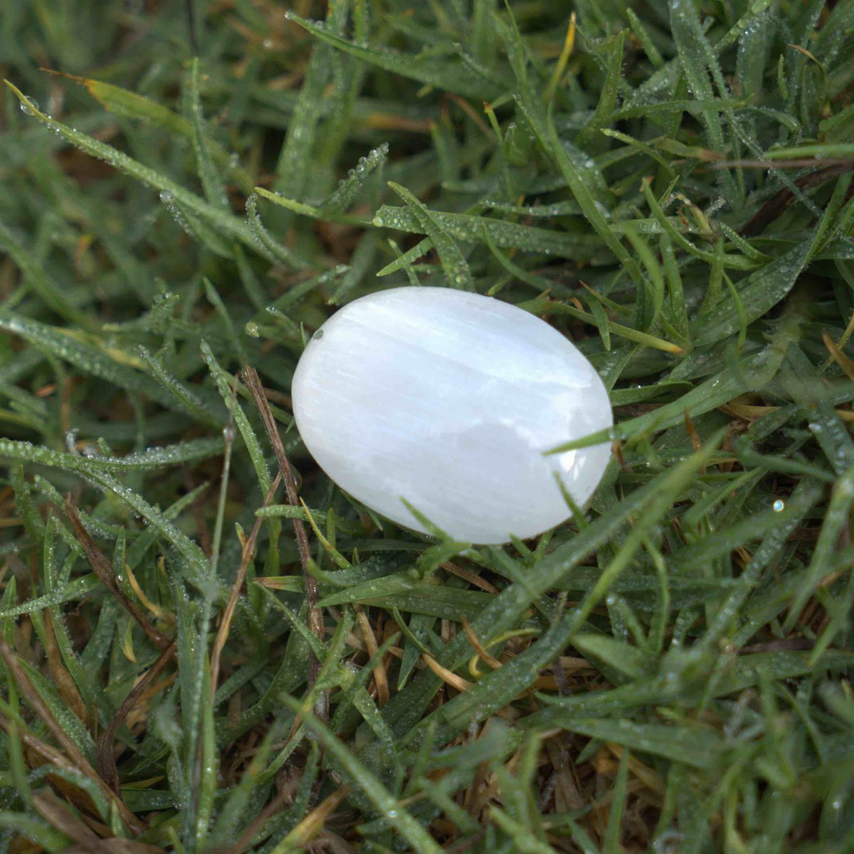 Selenite Touchstone Crystal