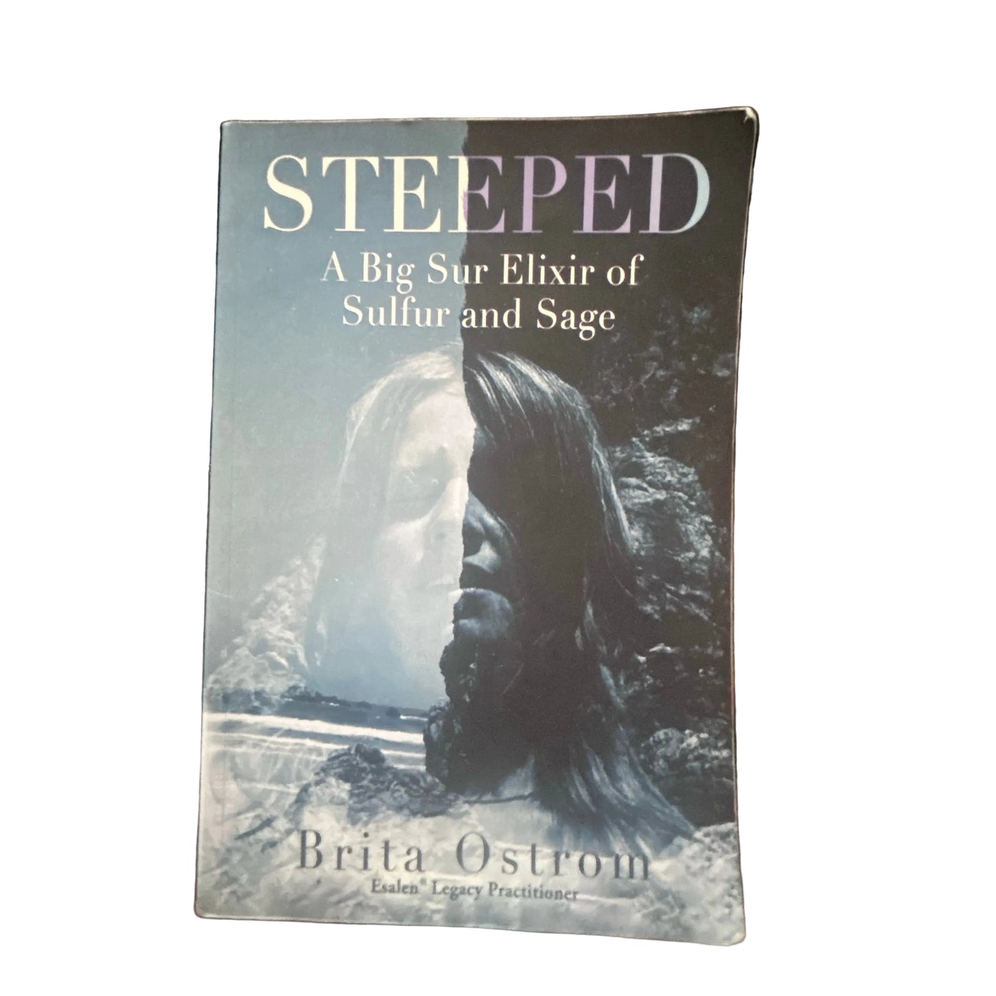 Steeped: A Big Sur Elixir of Sulfur and Sage by Brita Ostrom