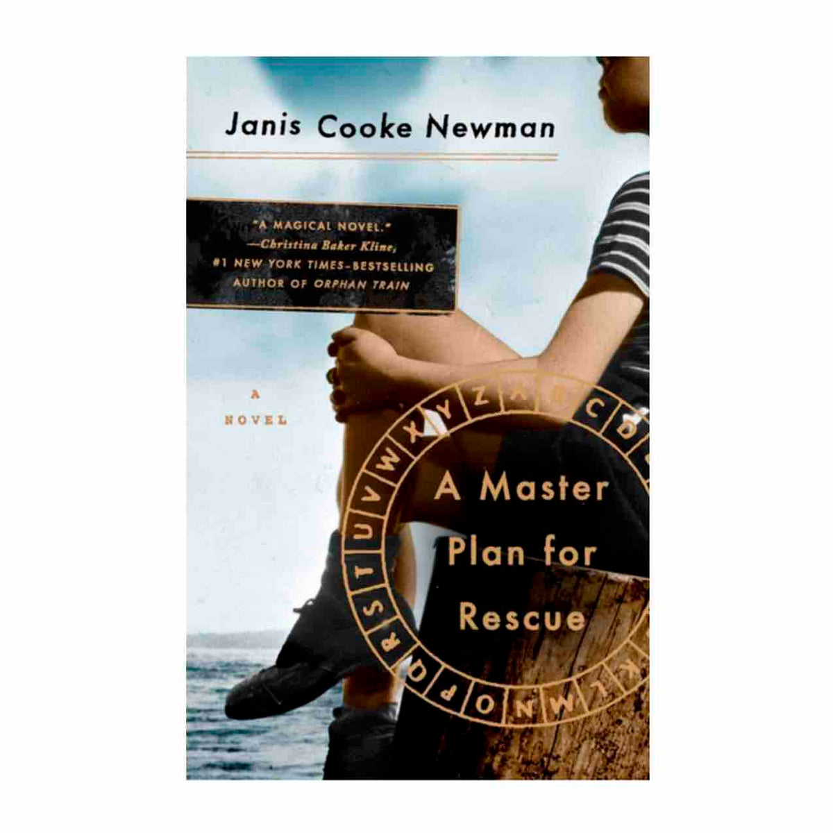 A Master Plan for Rescue by Janis Cooke Newman