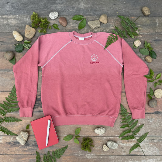 Embroidered Peace Symbol Sweatshirt in Brick - ISBMS x Esalen