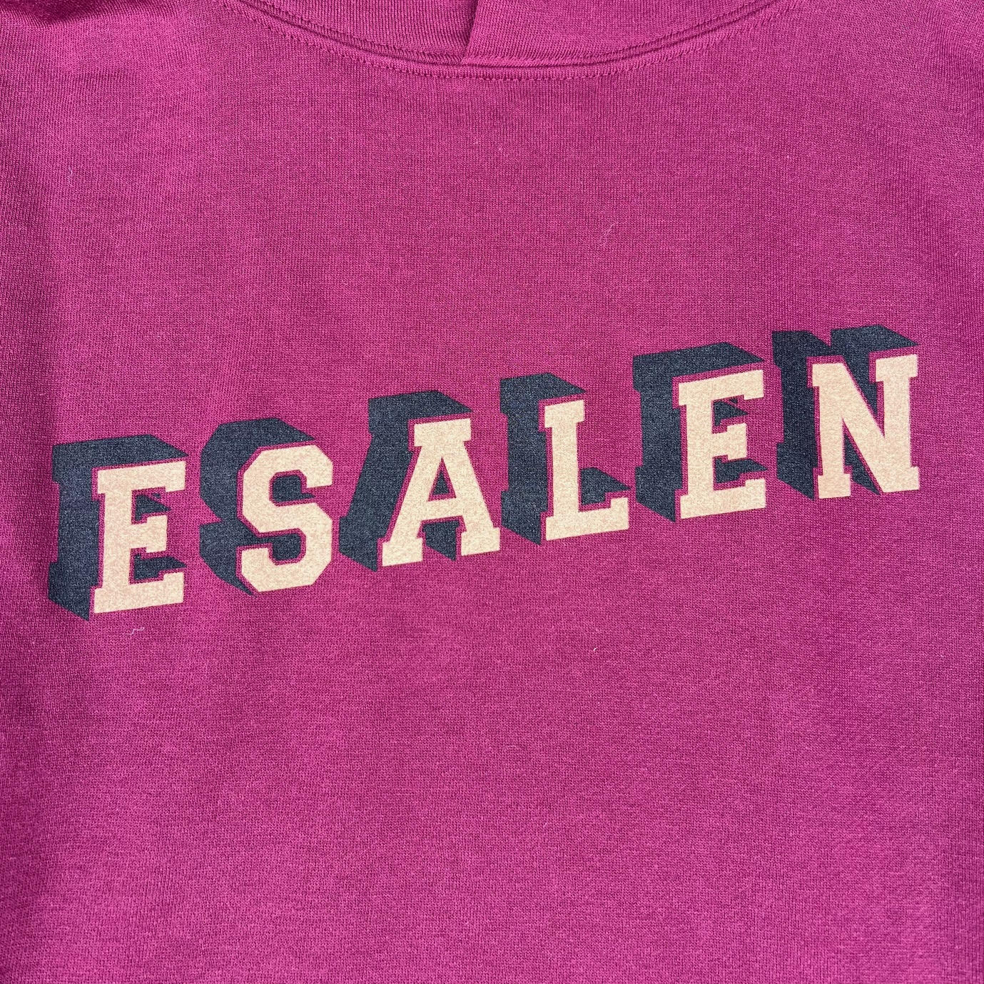 Esalen 3D Logo Heavyweight Hoodie in Maroon