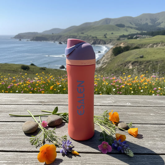 Esalen Classic Logo Owala Freesip Bottle in Terracotta Sunset