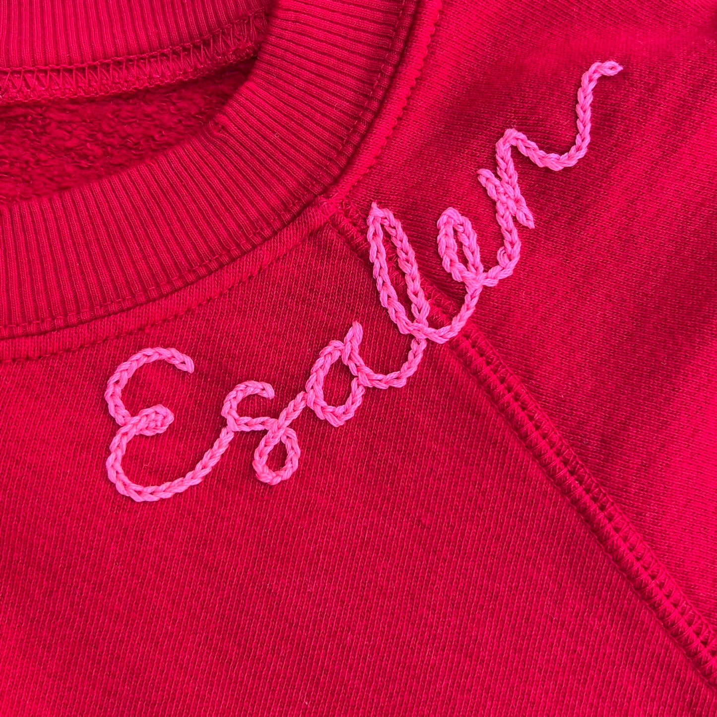 Embroidered Sweatshirt in Red by ISMBS x Esalen