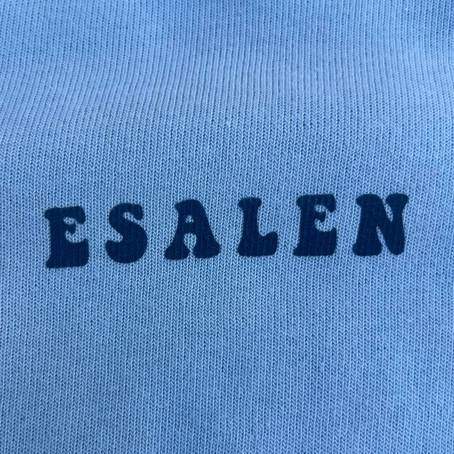 Floral Big Sur Sweatshirt in Sky Blue - Somewhere x Esalen