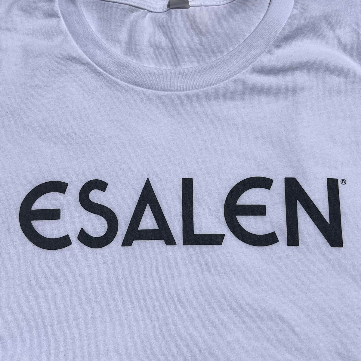 Esalen Classic Logo T'Shirt in True White
