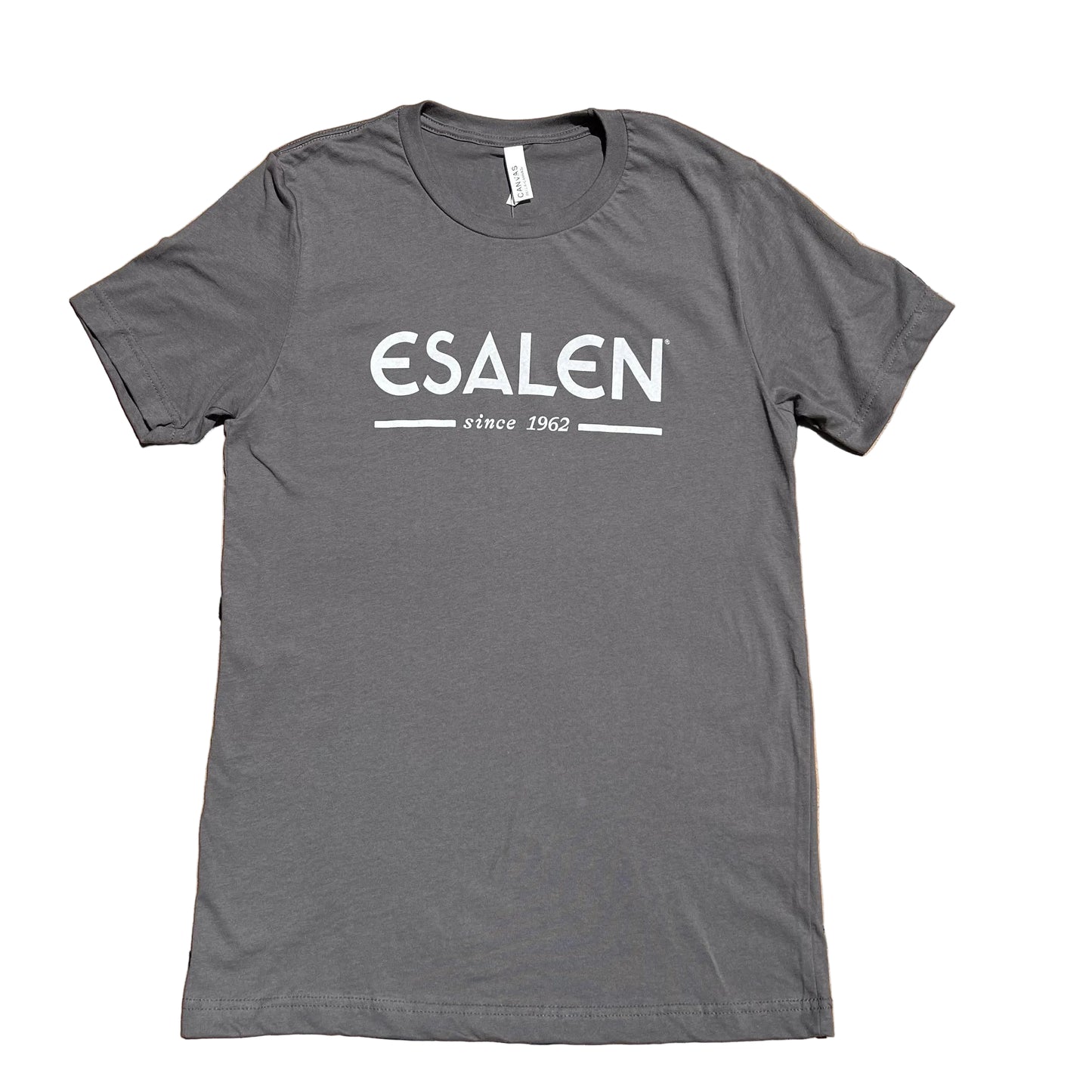 Esalen Since 1962 Logo T'Shirt in Asphalt