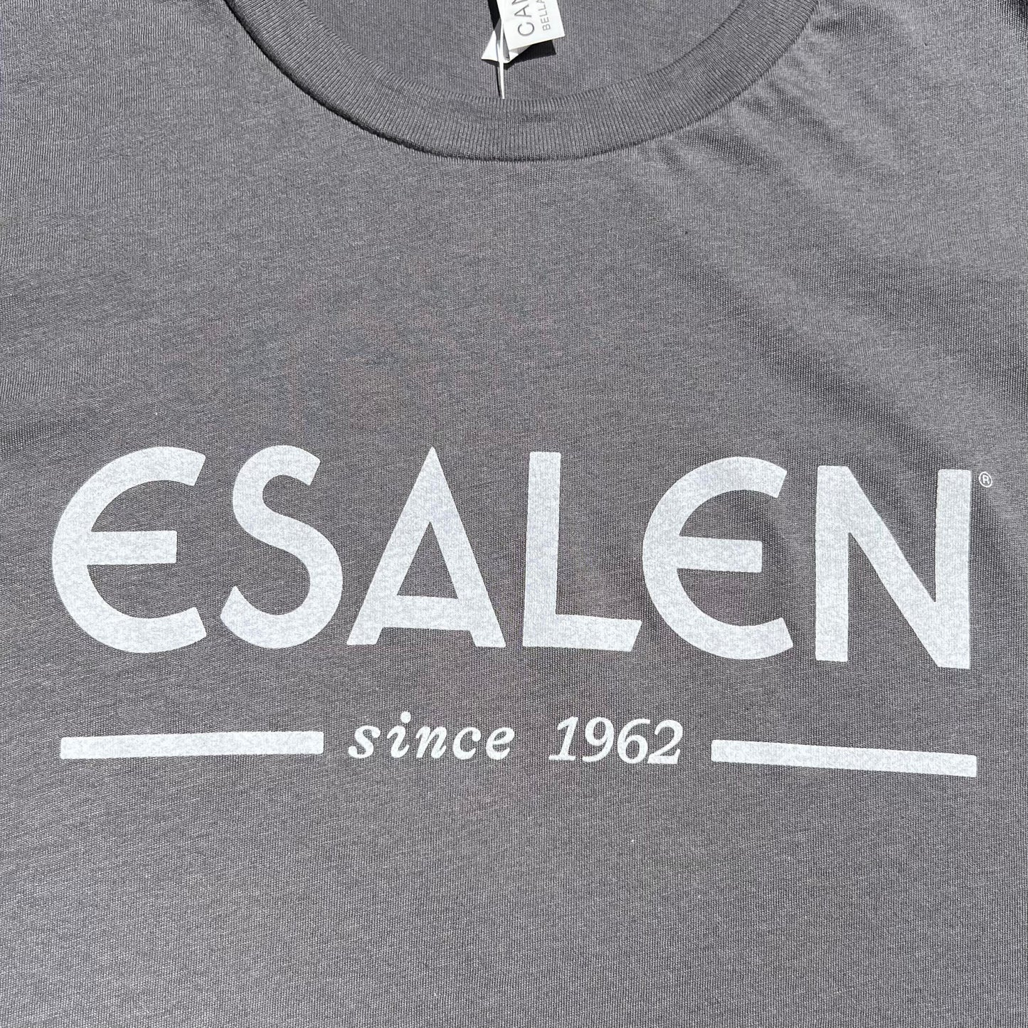 Esalen Since 1962 Logo T'Shirt in Asphalt