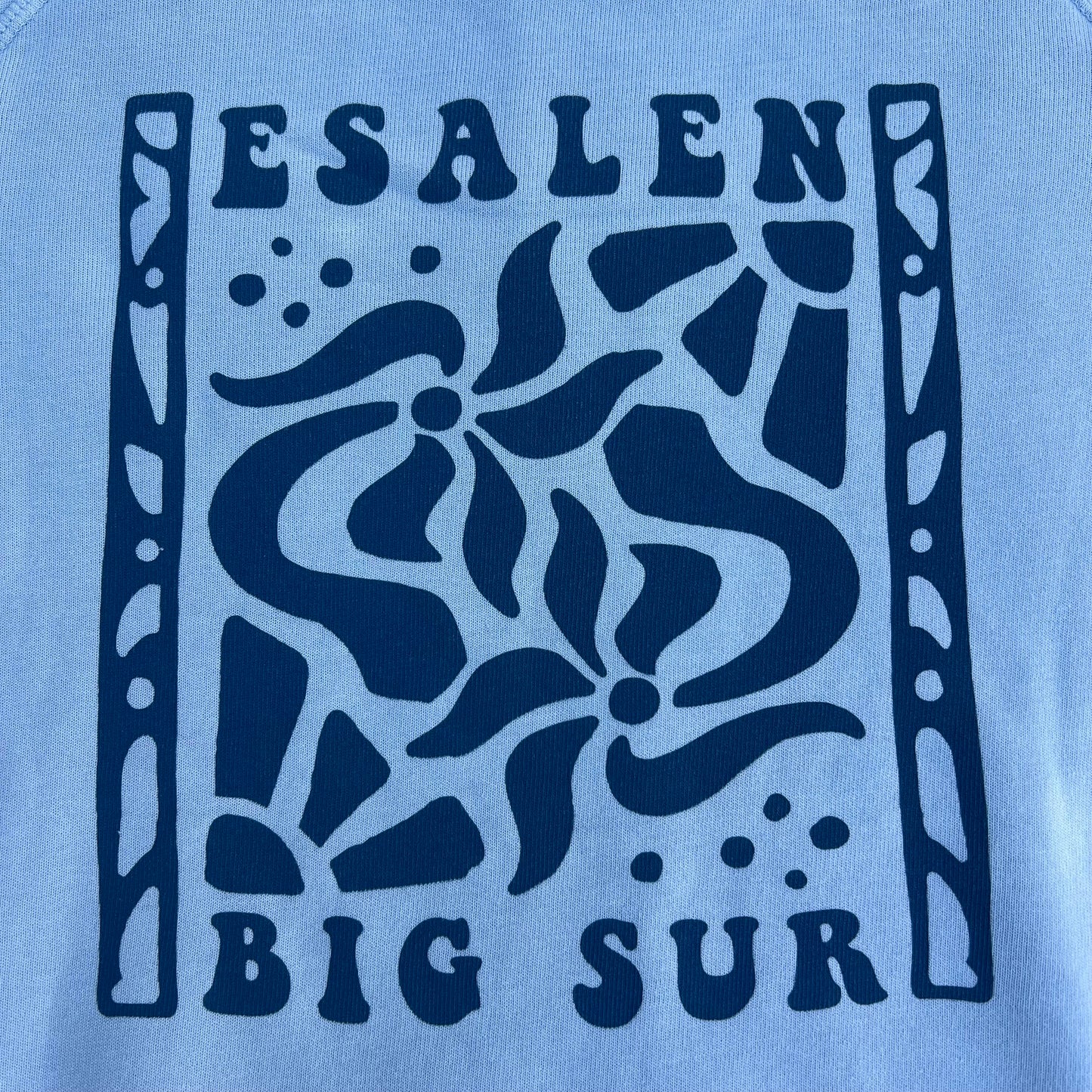 Floral Big Sur Sweatshirt in Sky Blue - Somewhere x Esalen
