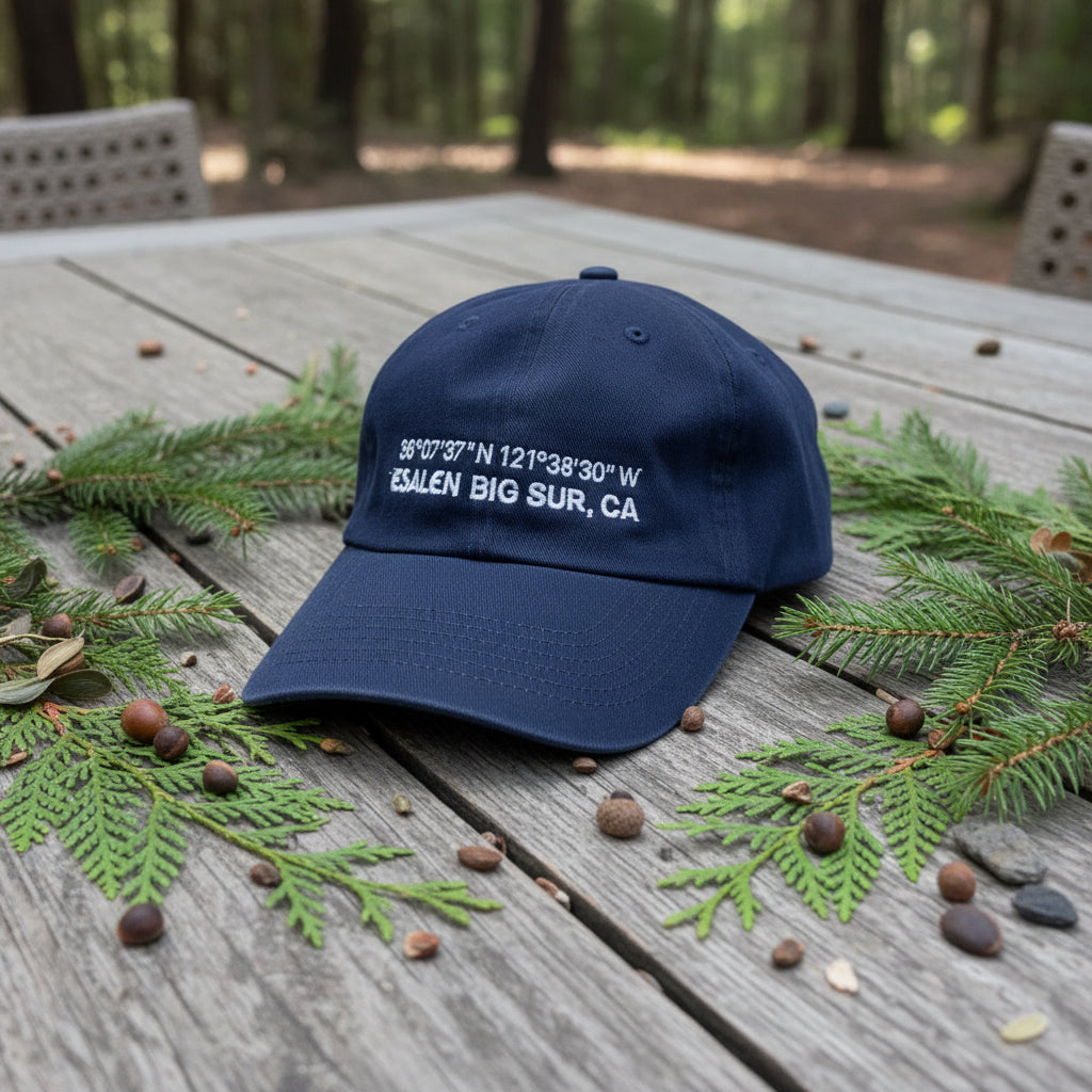 Esalen Coordinates Logo Twill Hat in Navy