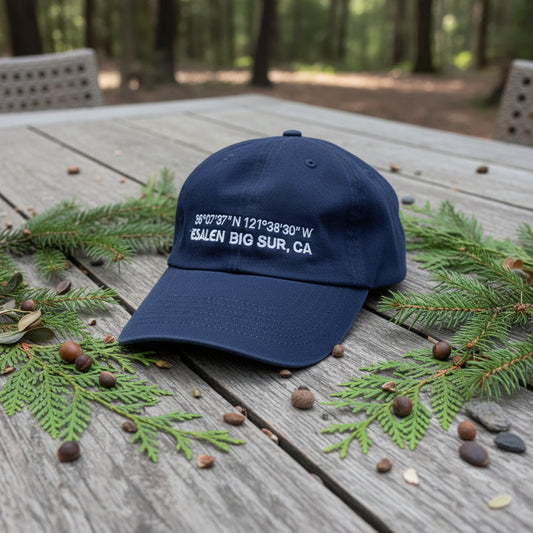 Esalen Coordinates Logo Twill Hat in Navy
