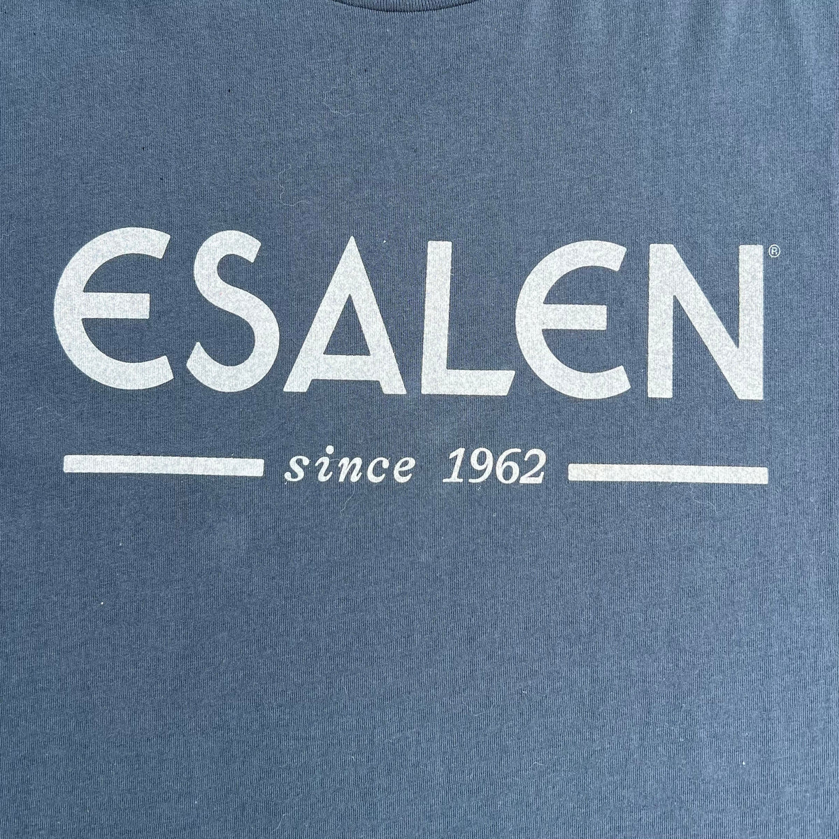 Esalen Since 1962 Logo Long Sleeve T-Shirt in Vintage Navy