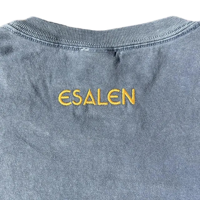Esalen No One Captures the Flag Embroidered T'Shirt in Denim Blue