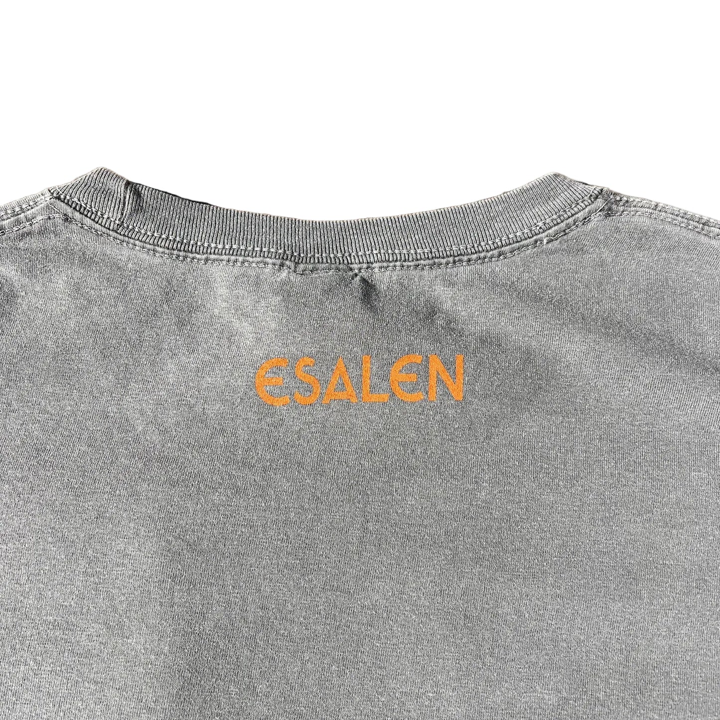 Esalen Create As You Wish T'Shirt in Grey