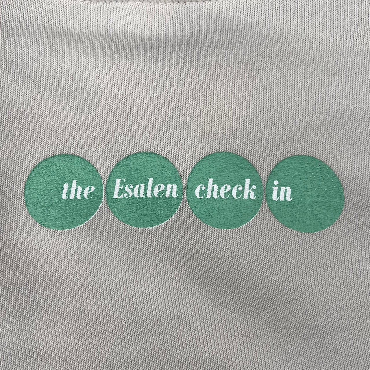 Esalen Check-In Logo Sweatshirt in Dust