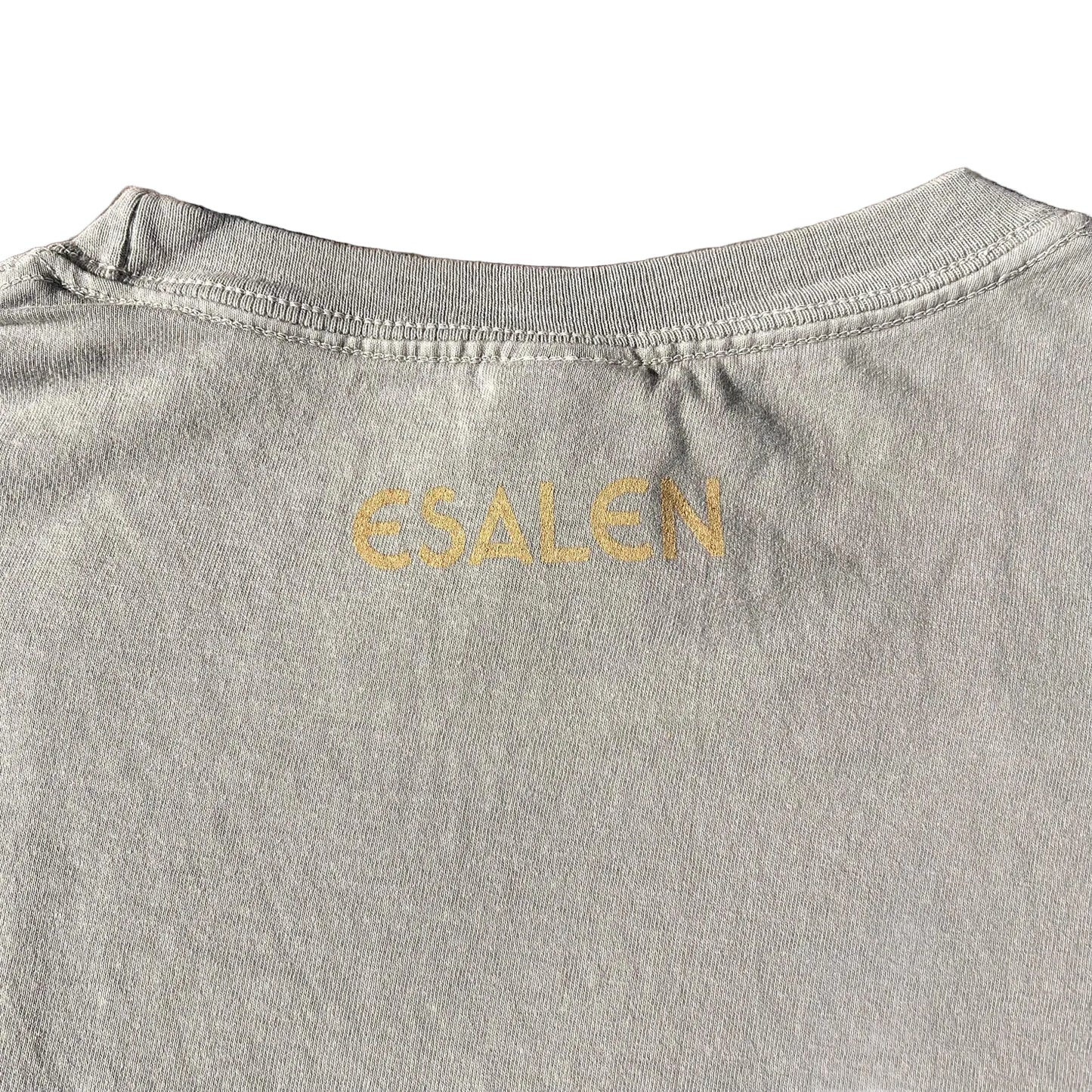 Esalen Healing Between Sea and Sky T'Shirt in Thyme