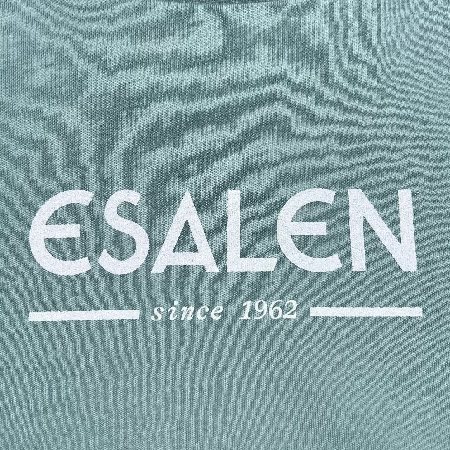 Esalen Classic Logo Toddler T-Shirt in Dusty Blue