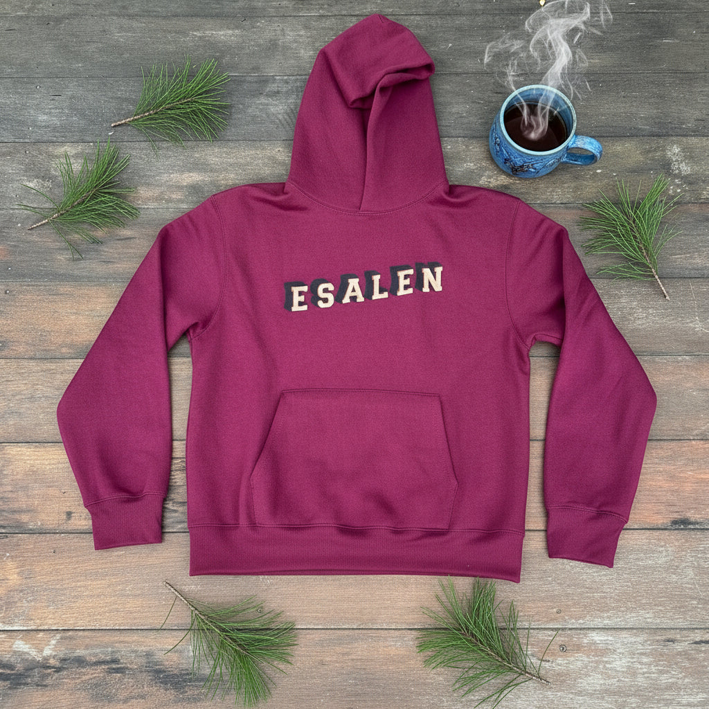 Esalen 3D Logo Heavyweight Hoodie in Maroon